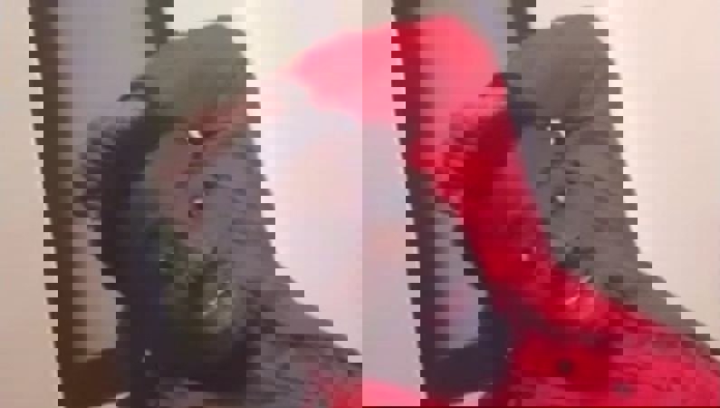 2213148