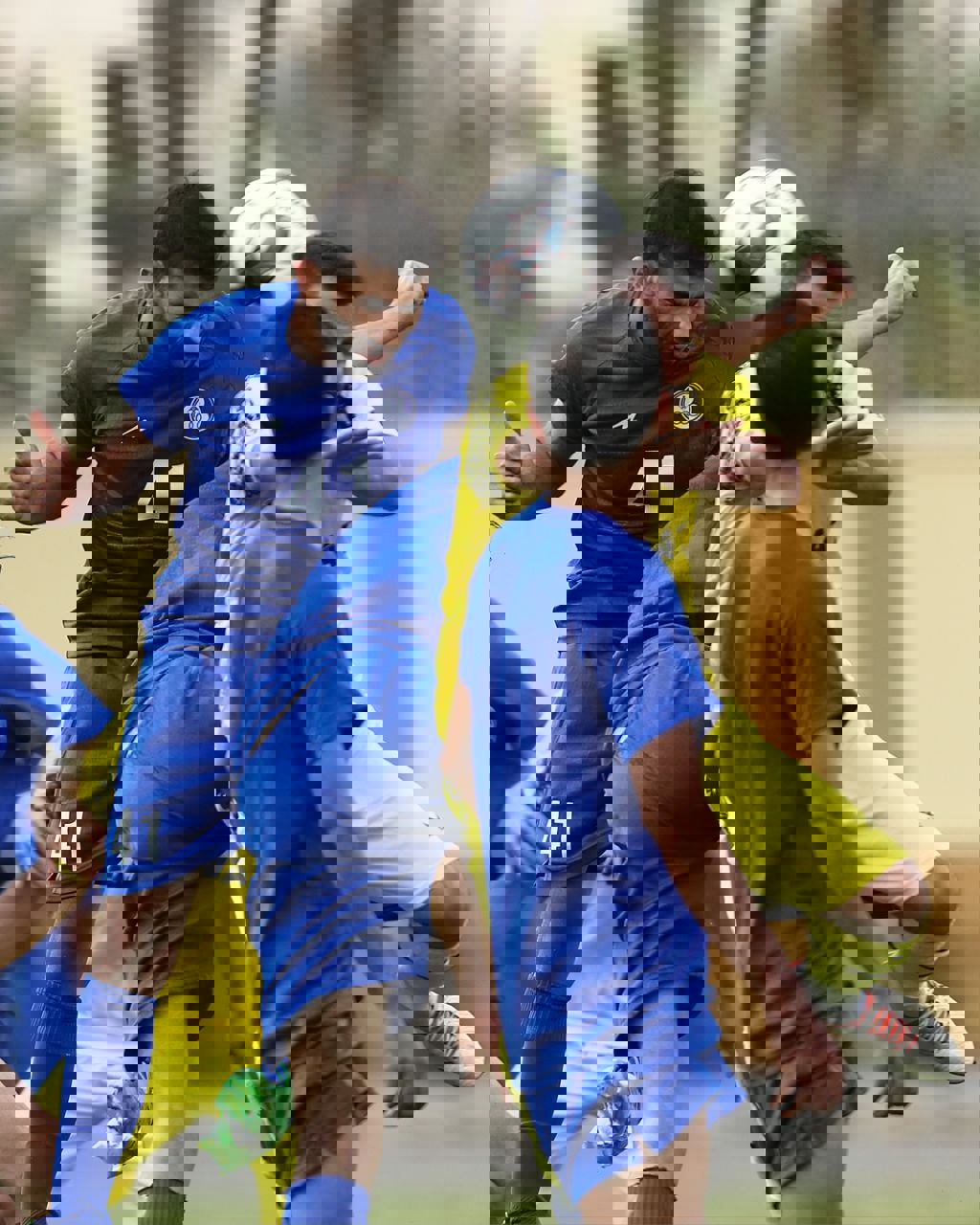 2213506