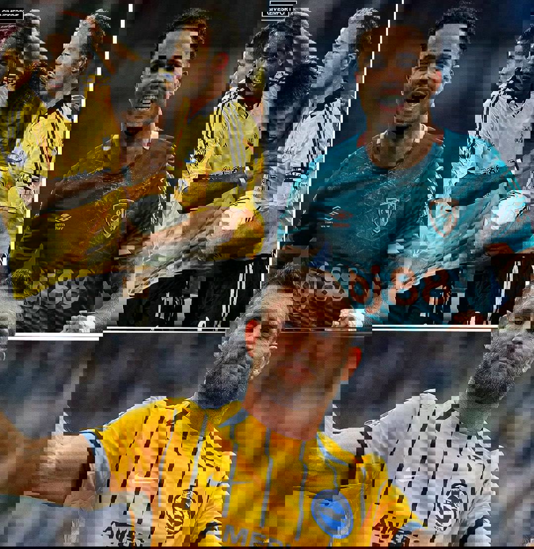 2216441