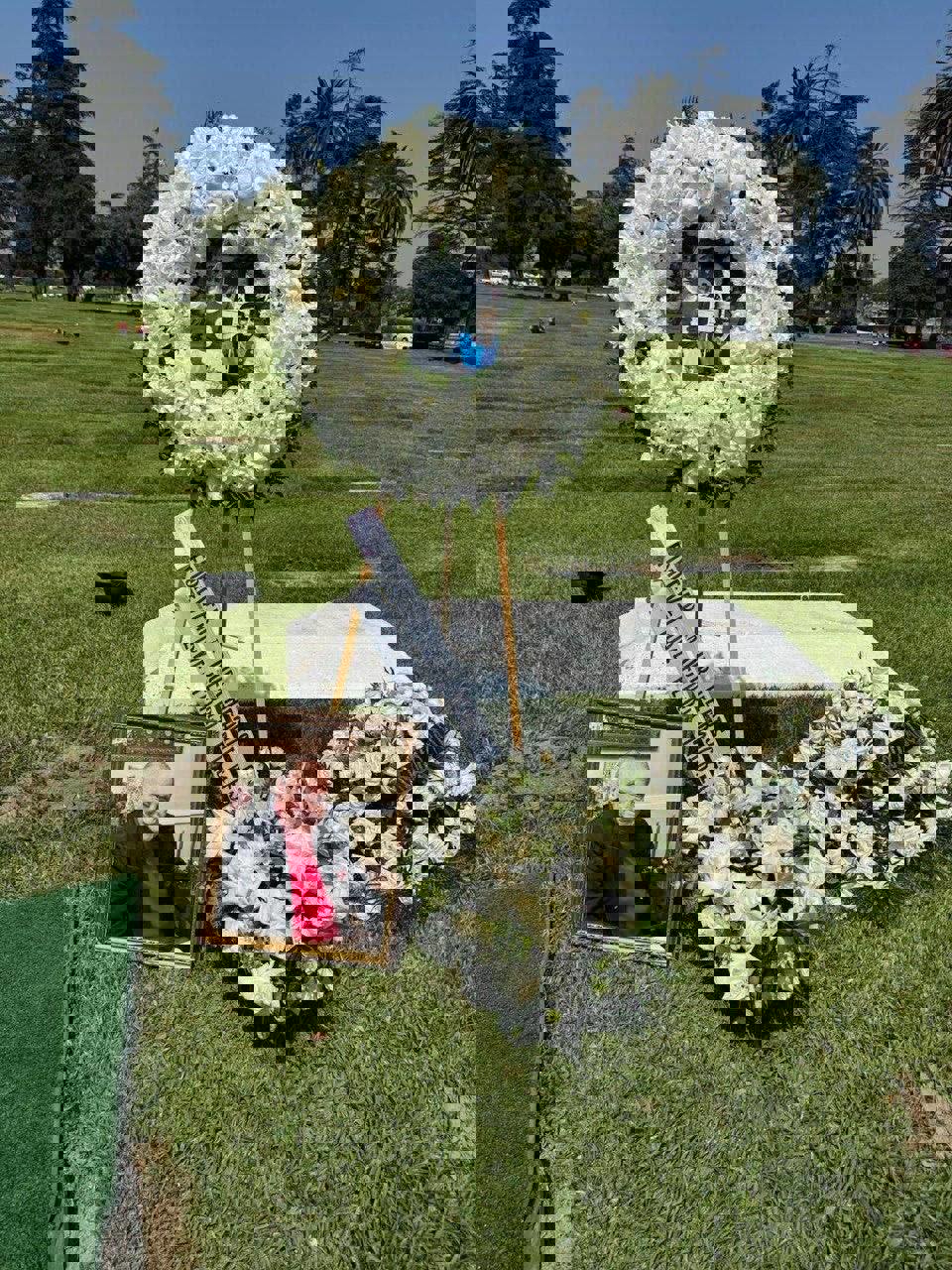 2216871