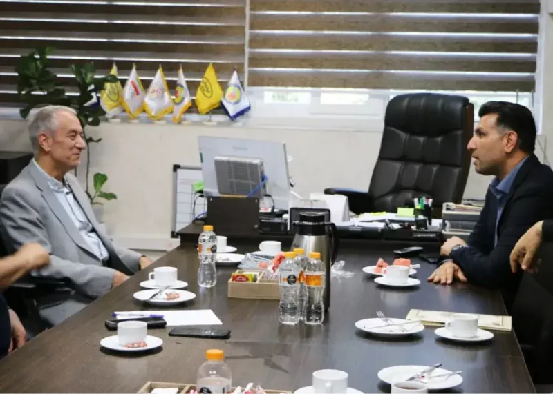 کفاشیان در فدراسیون هندبال رویت شد