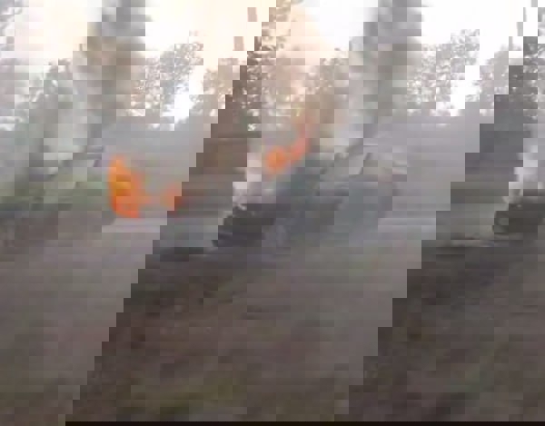 2217714