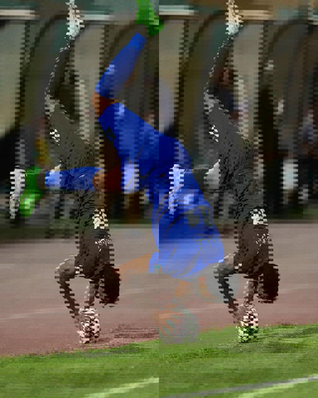 2219923