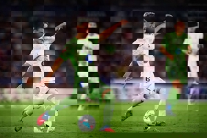 گاوی حاضر بود با عصا هم بازی کند!