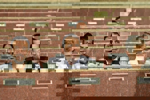 سامره: قرار نیست در تیم ملی معجزهای رخ دهد