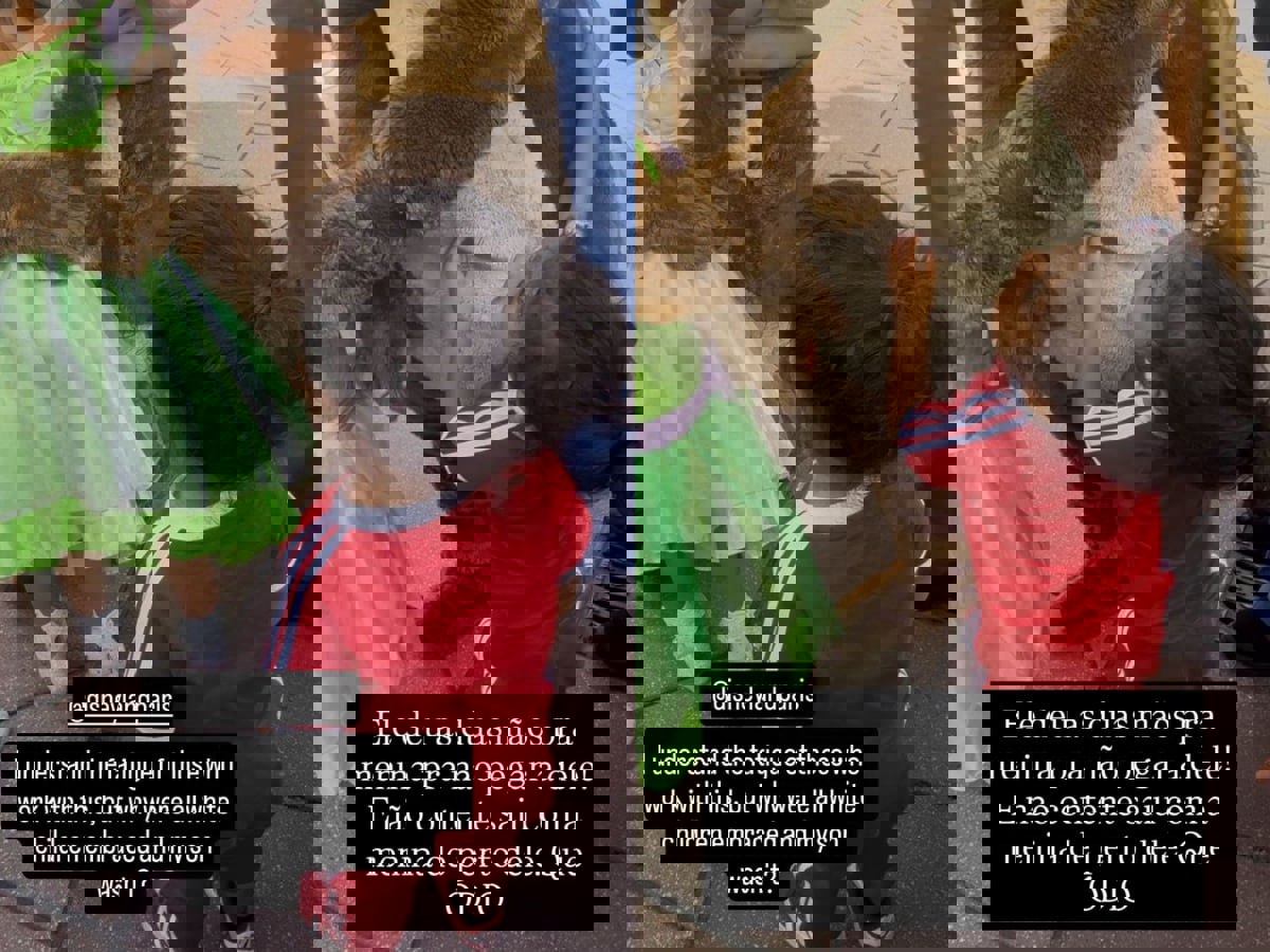 2223185