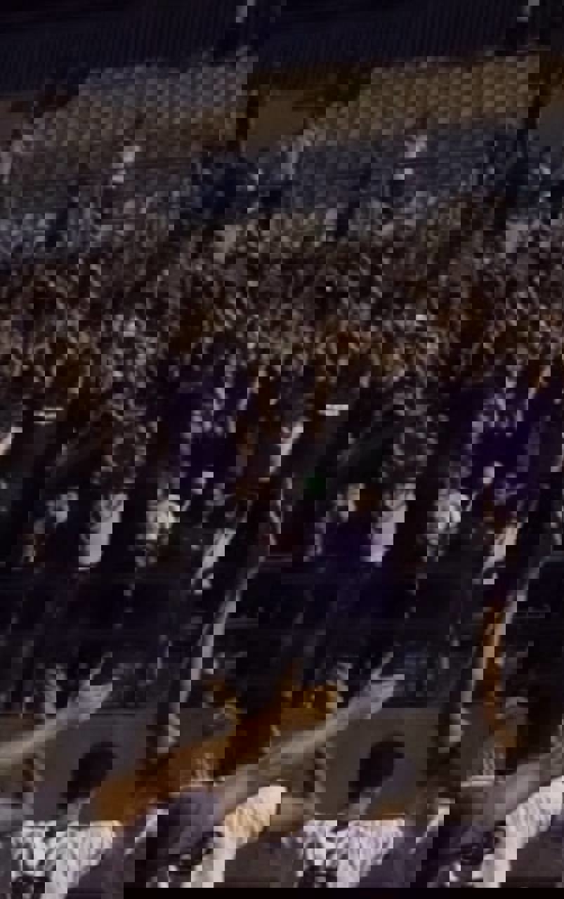 2223102