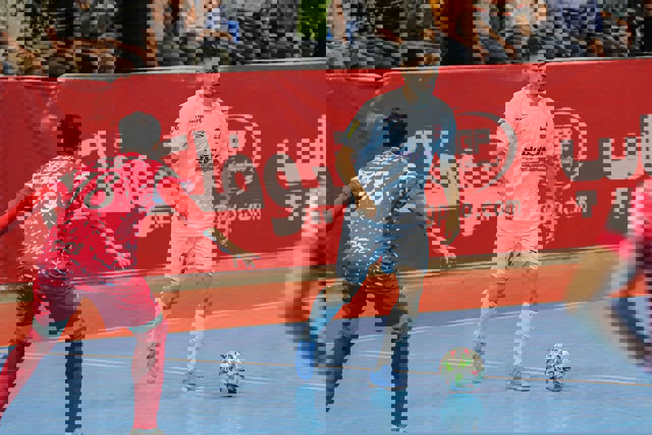 2223491