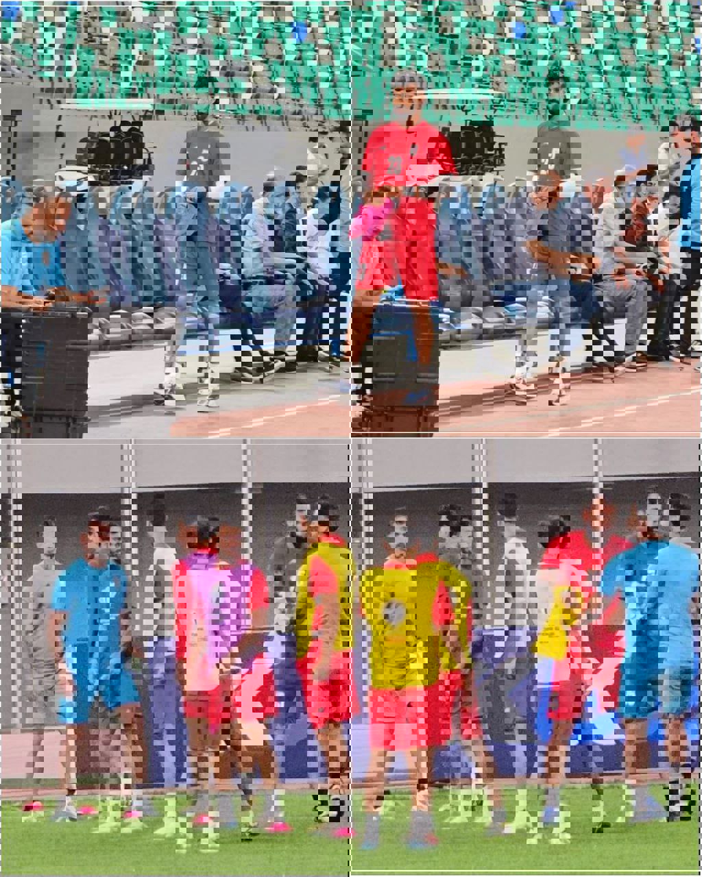 2223816
