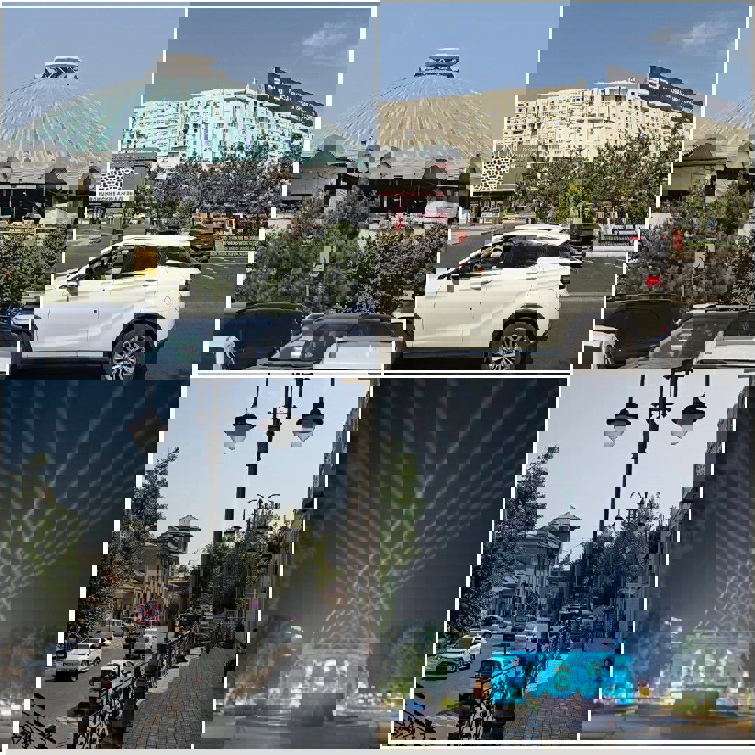 2223819