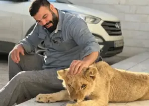 خبر دردناک: توله شیر معروف کشته شد!