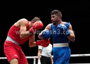 34 بوکسور در اردوی تیم ملی به خط می شوند