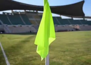 چمن ورزشگاه زیبای تهران دغدغه شد!