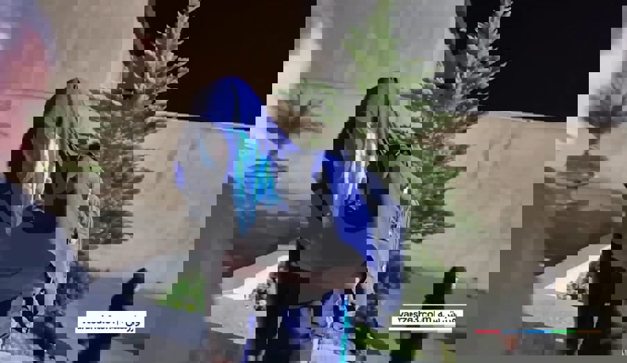 2227558