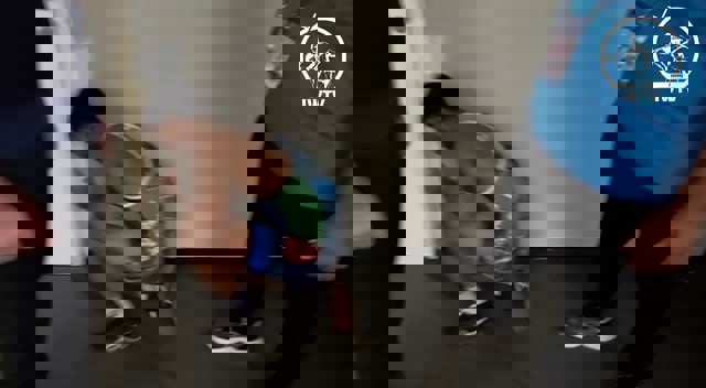 2228036