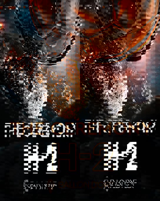 2229381