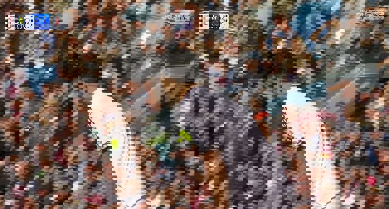 2231657