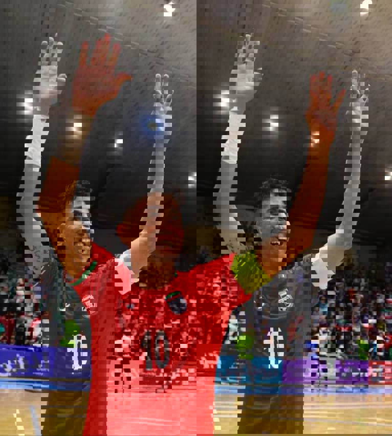 2231806