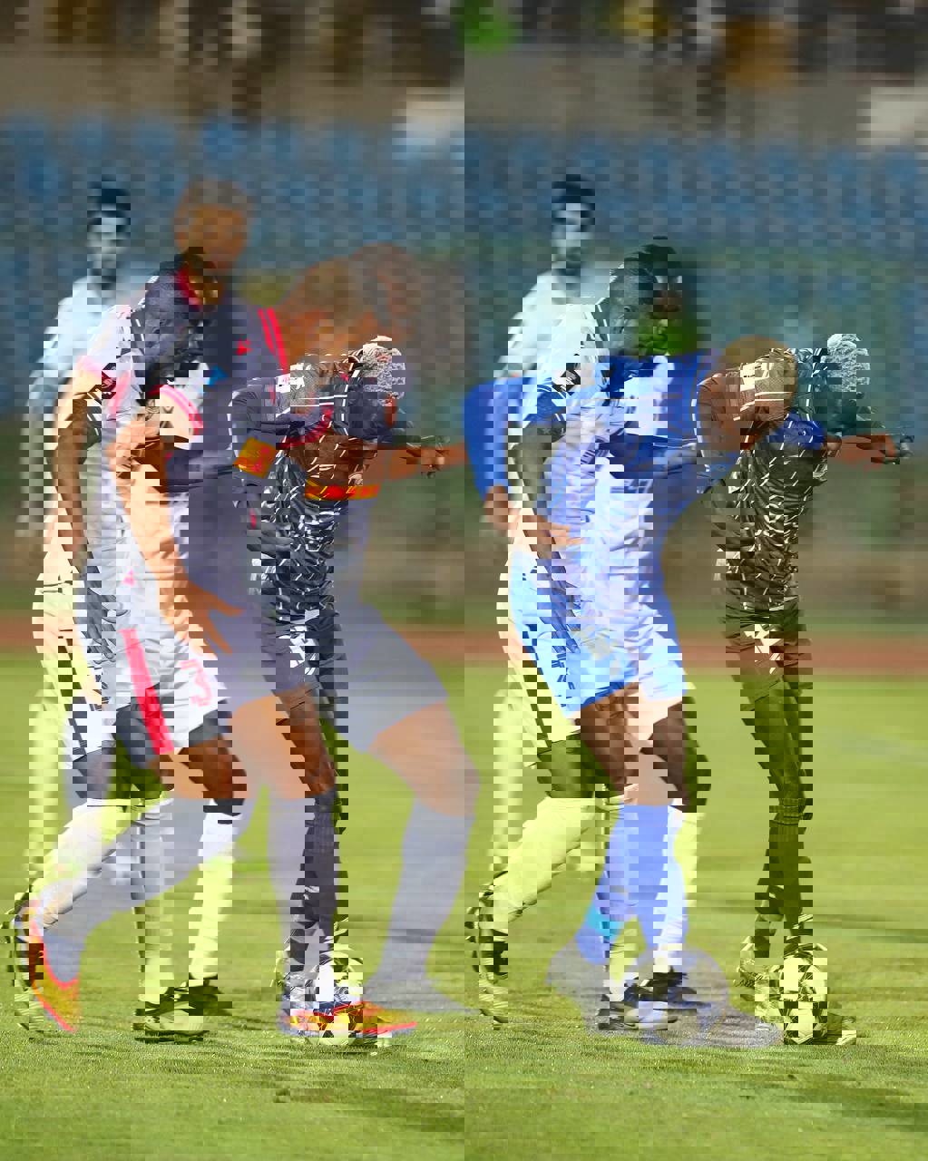 2233061