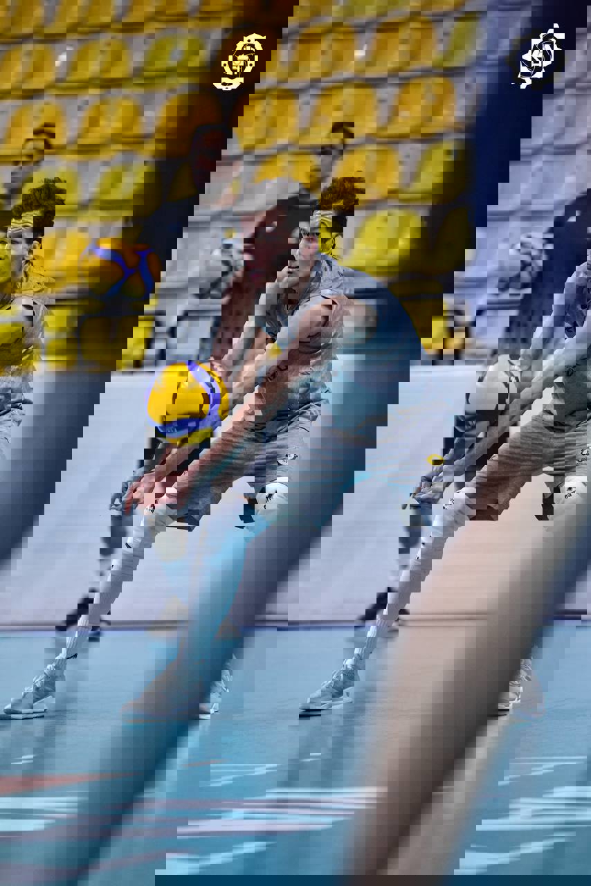 2233193