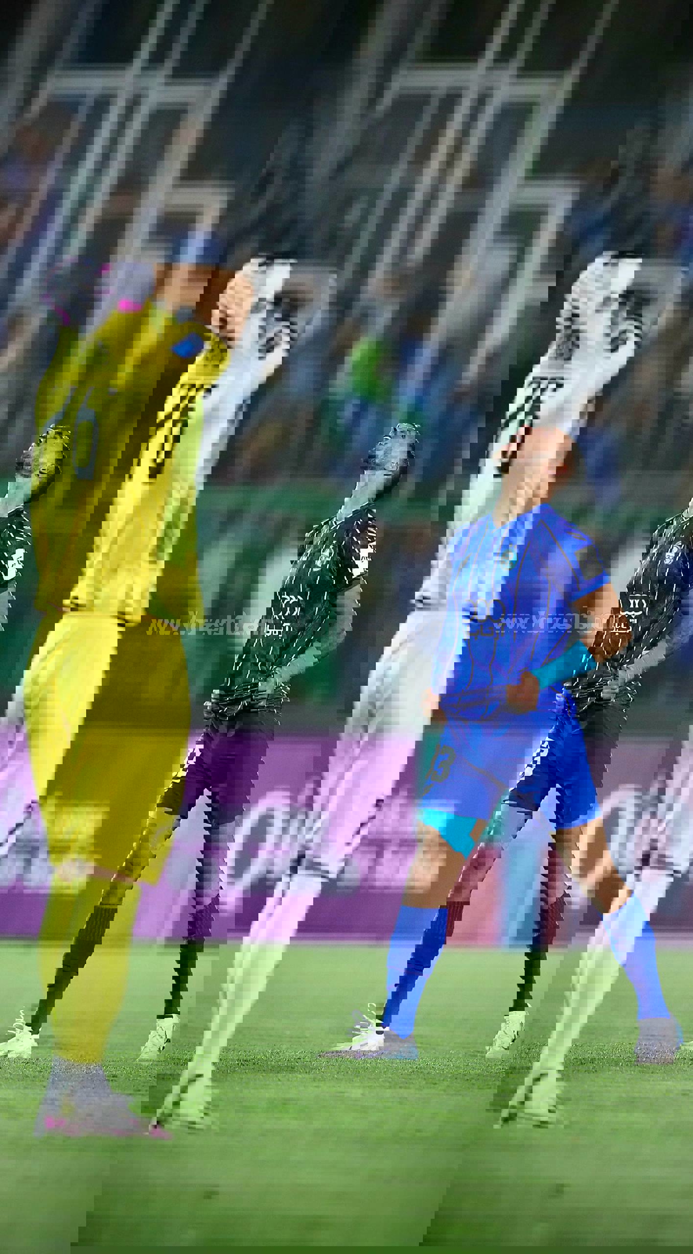 2233204