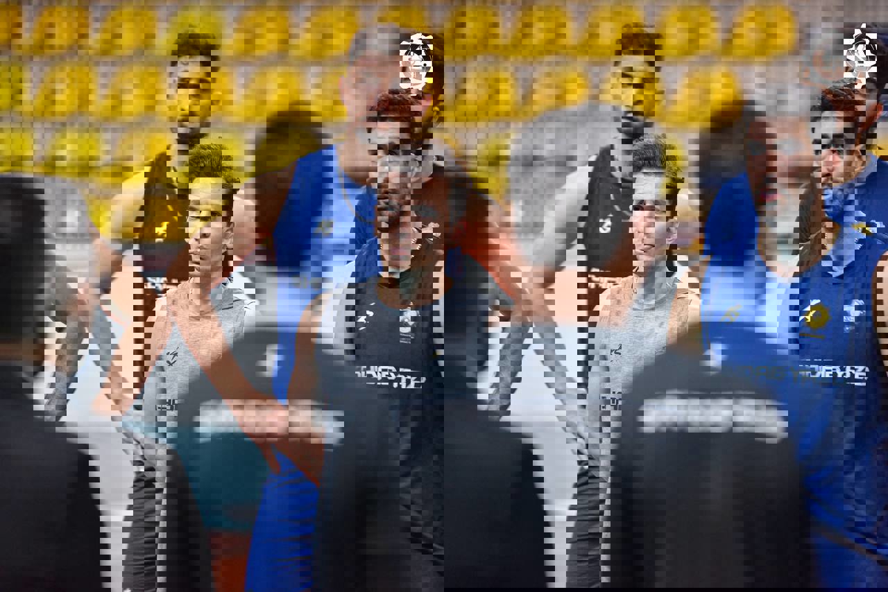 2233194