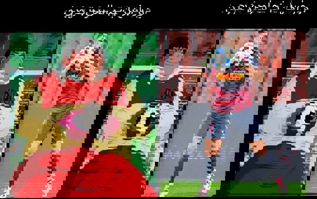 2233267