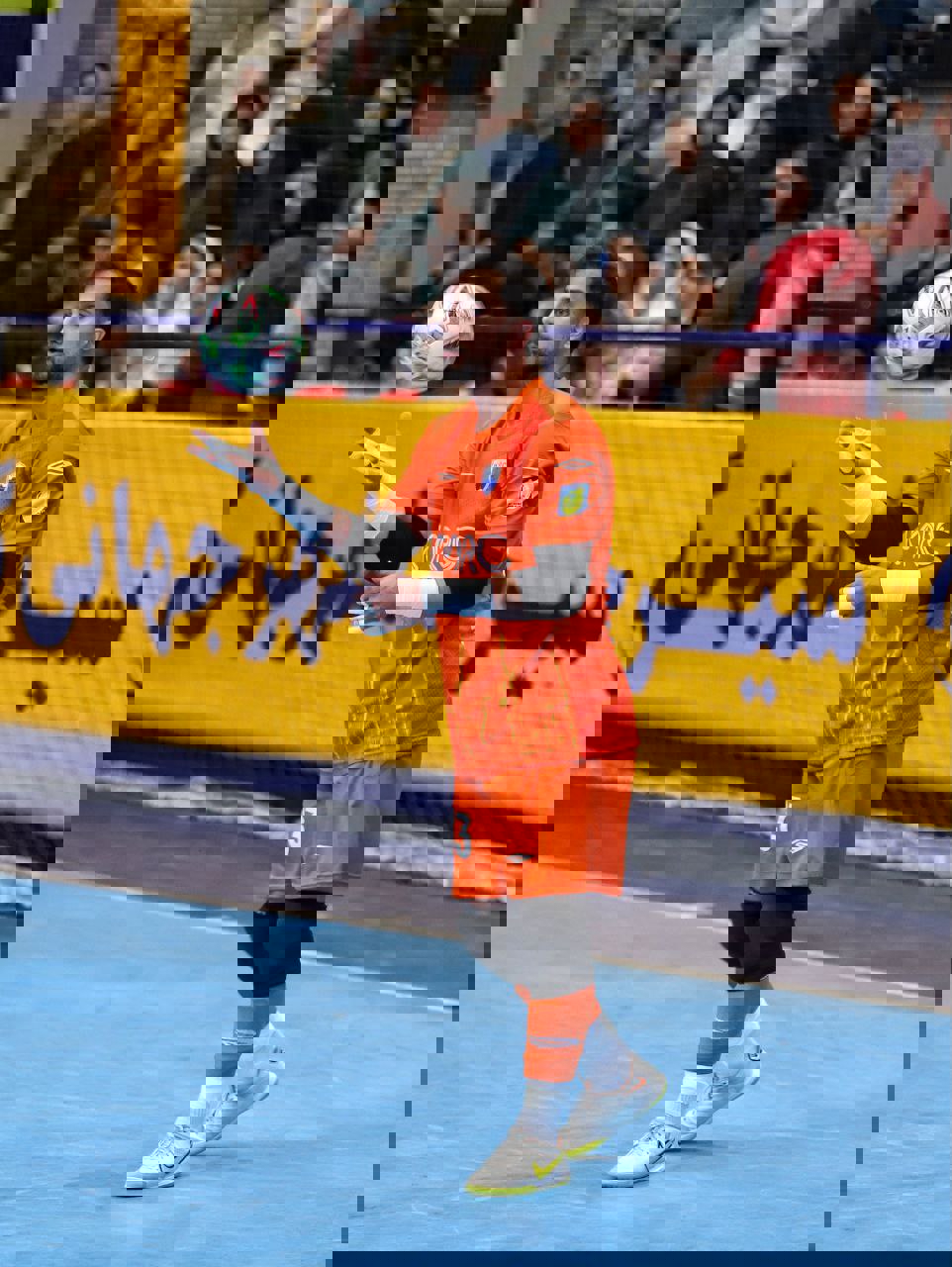 2233317