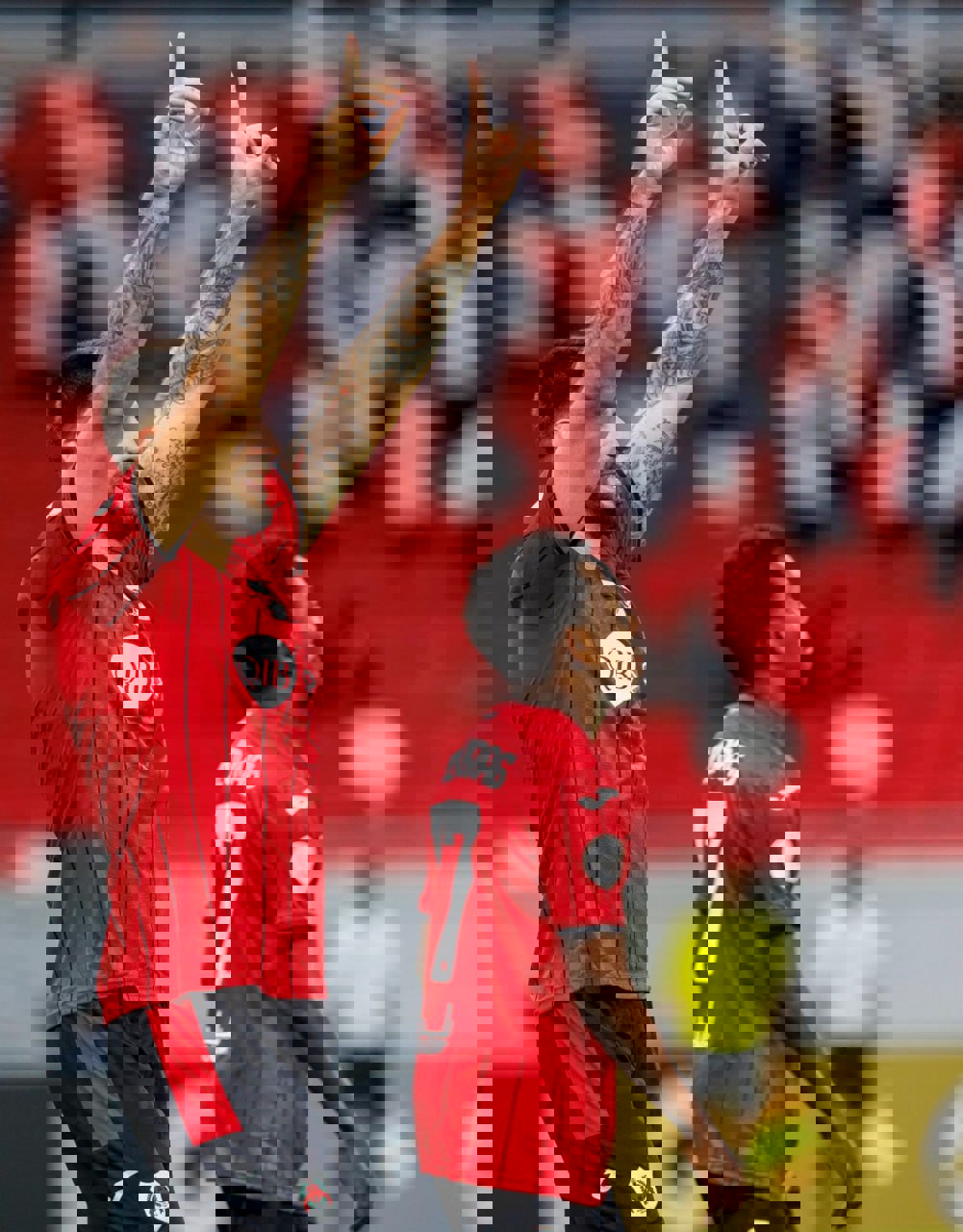 2233354