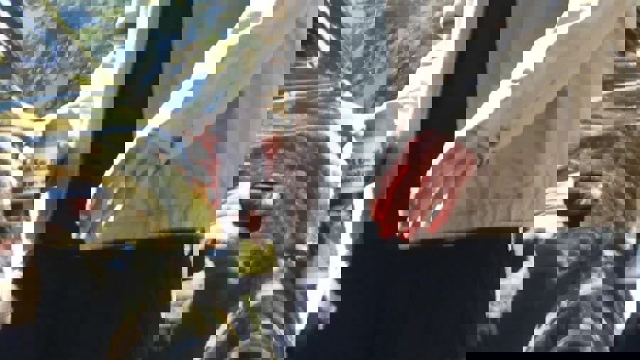 2233728
