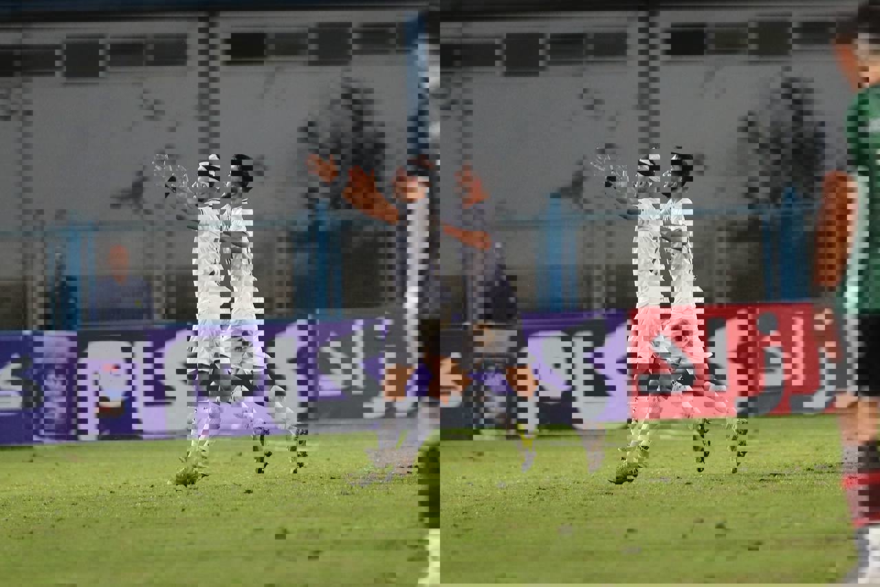 2233836