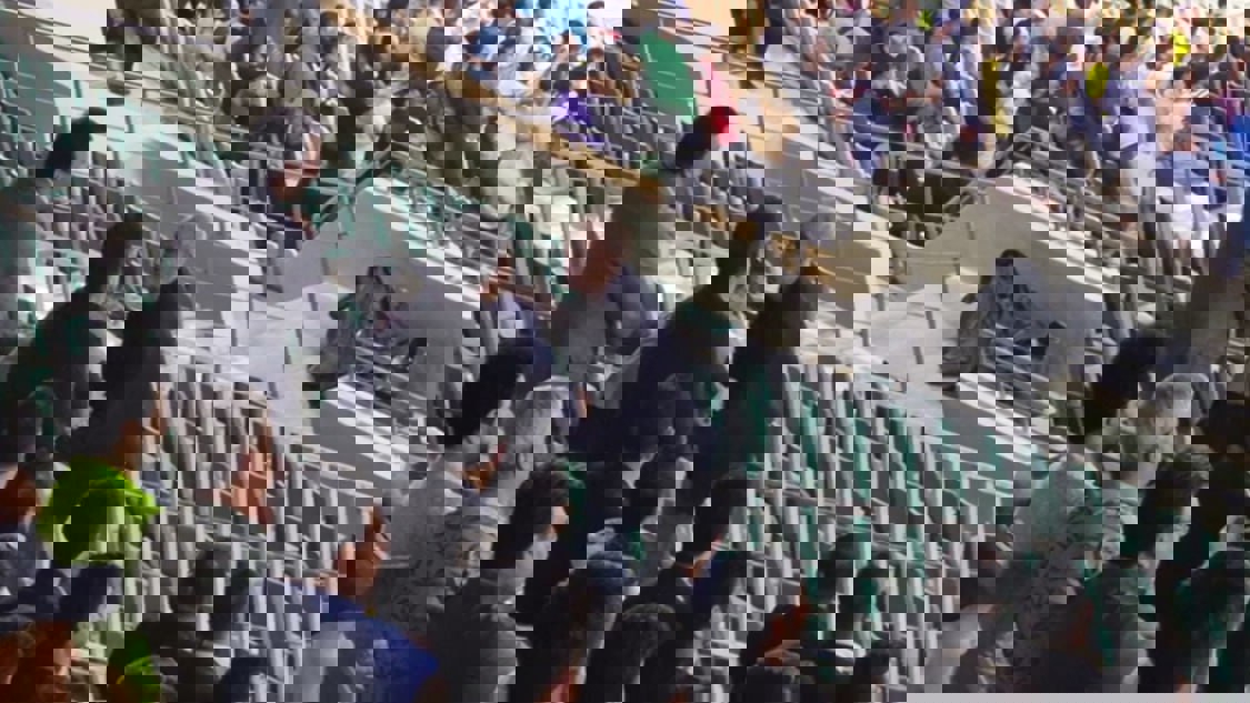 2244598