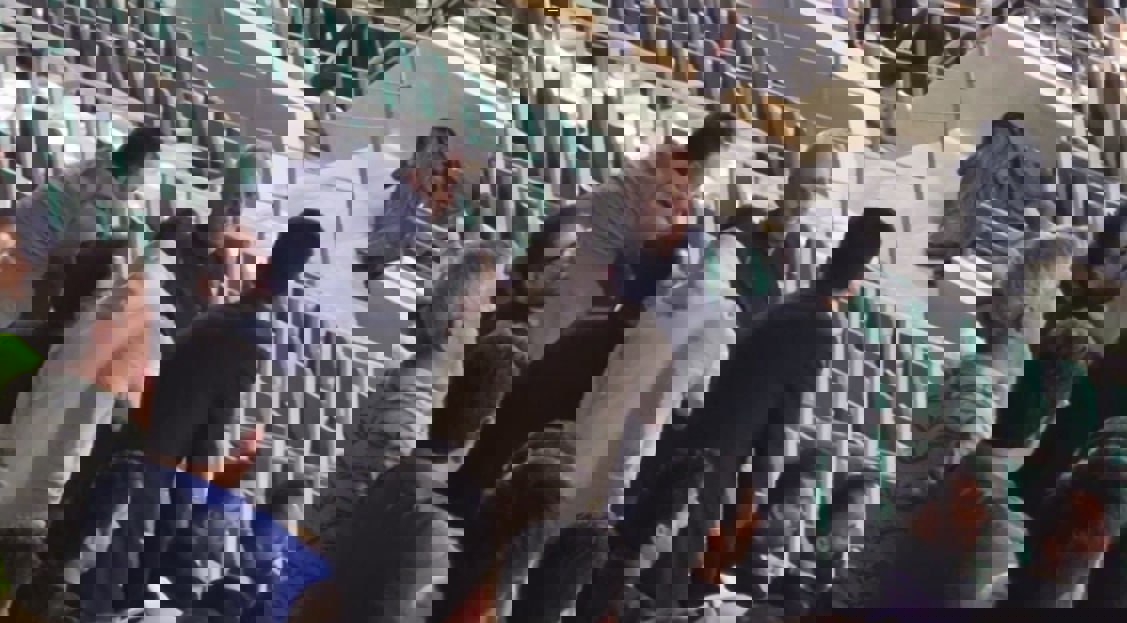 2244597