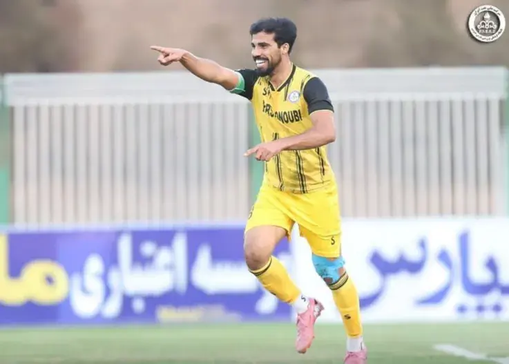 زنبورها آواز بازگشت به لیگ برتر سردادند(عکس)