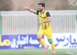 زنبورها آواز بازگشت به لیگ برتر سردادند(عکس)