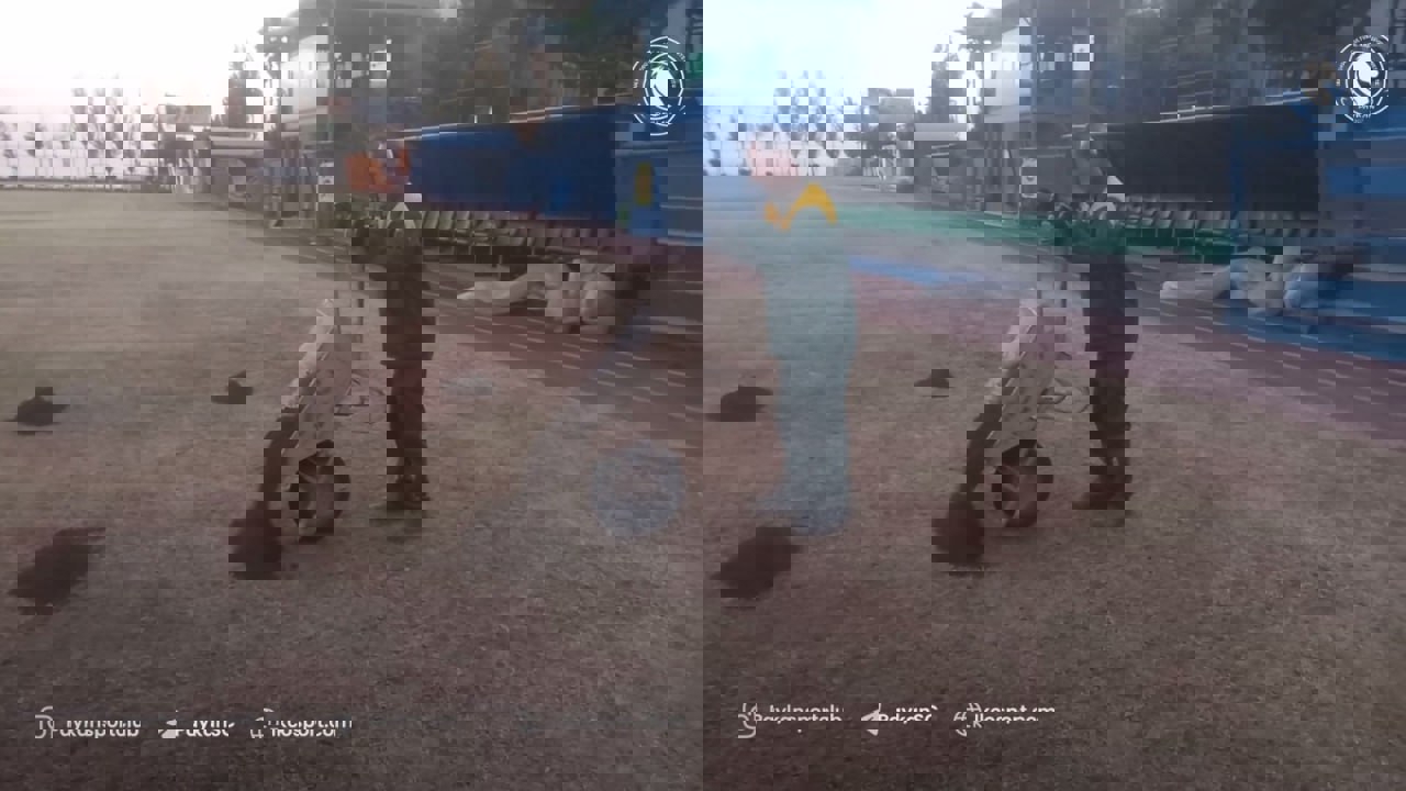 2245343