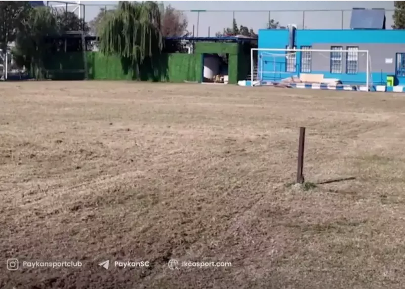چمن یک ورزشگاه دیگر تهران زیر کشت رفت(عکس)