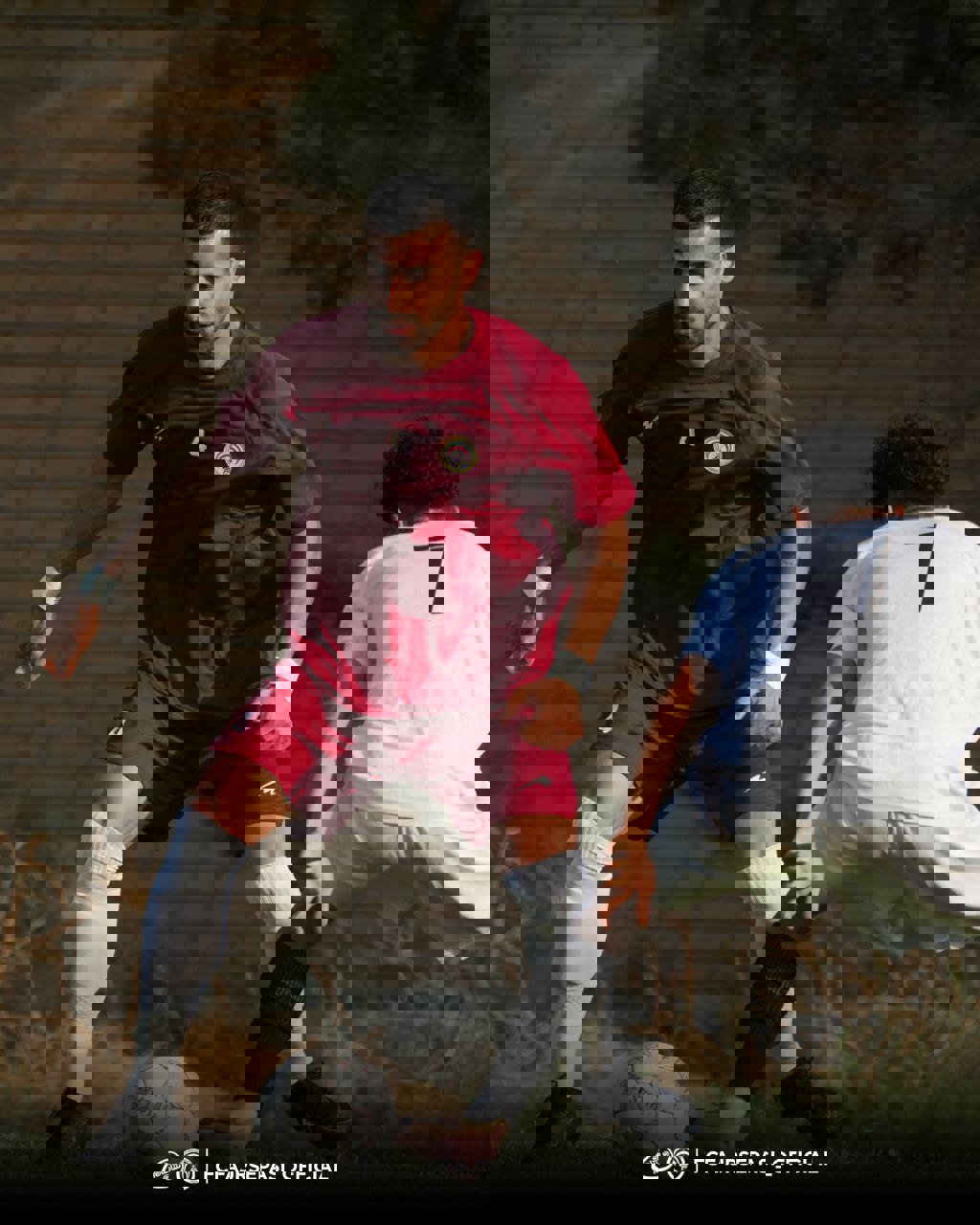 2246606