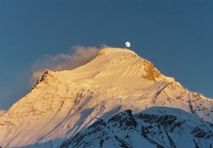 حسامیفرد به باشگاه 8000 متریهای جهان پیوست