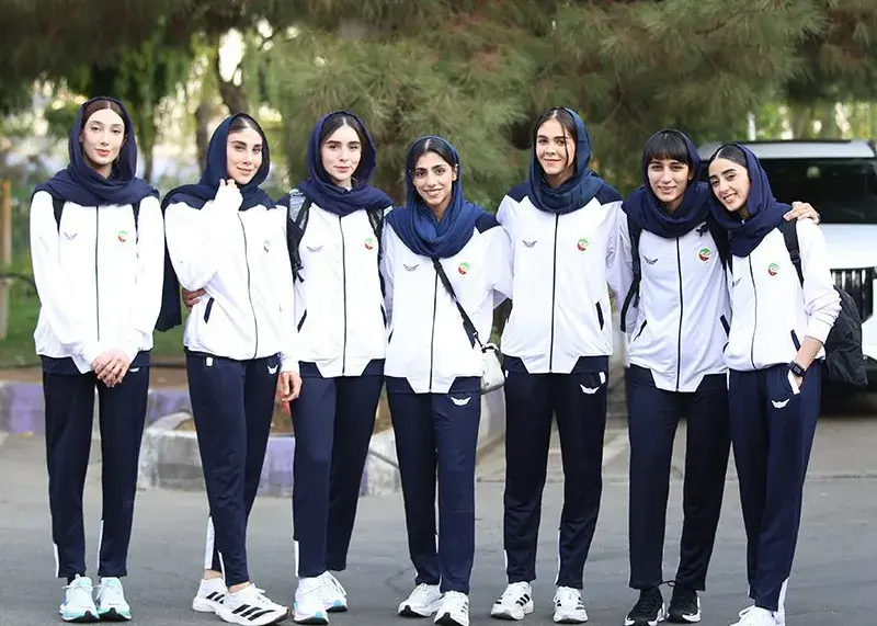 خوش تیپ و پرستاره: تکواندوکاران در راه ووشی