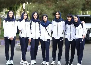 خوش تیپ و پرستاره: تکواندوکاران در راه ووشی