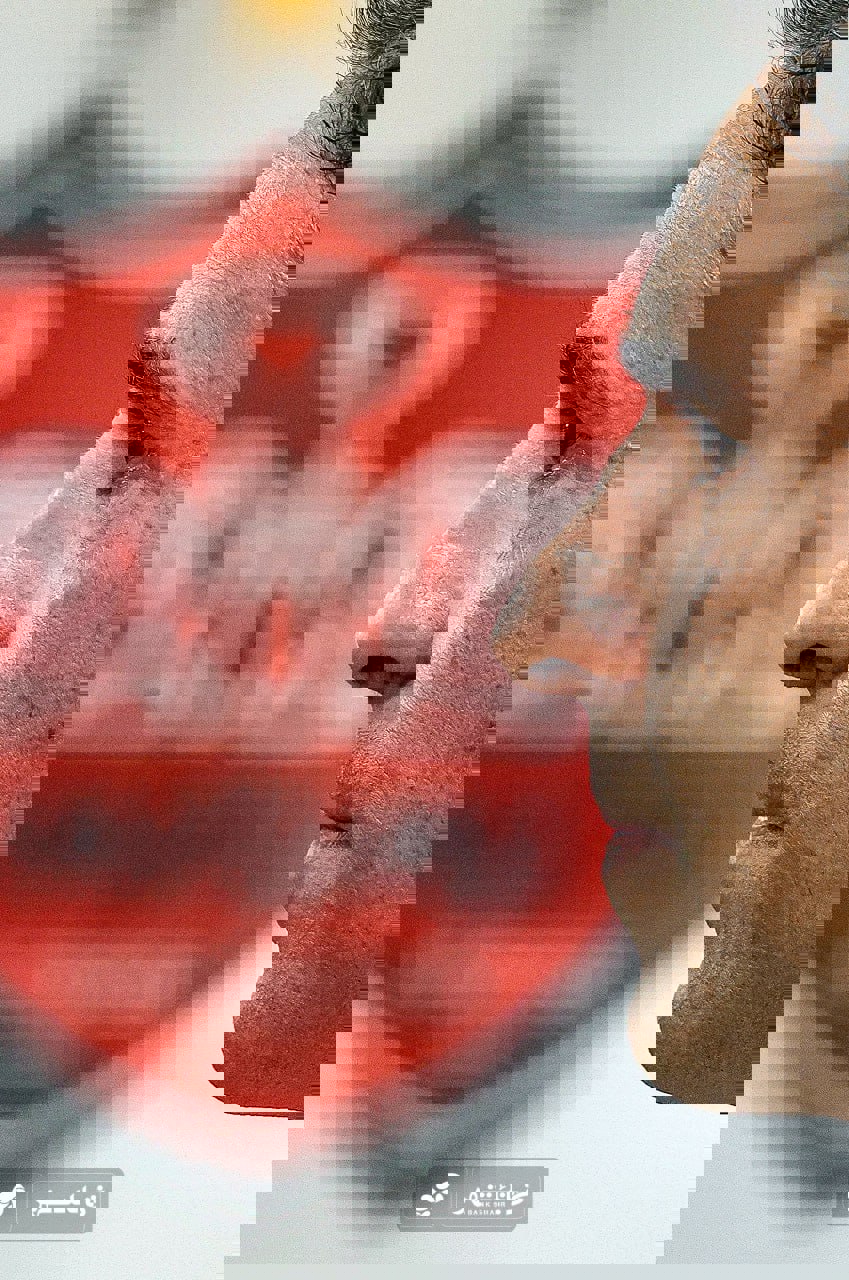 2251312