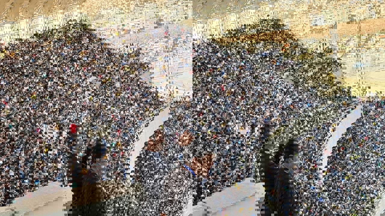 2252623