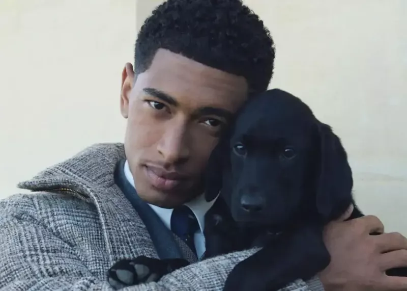 بلینگام مدل شد: مرد معاصر، نجیبزاده شاعر!