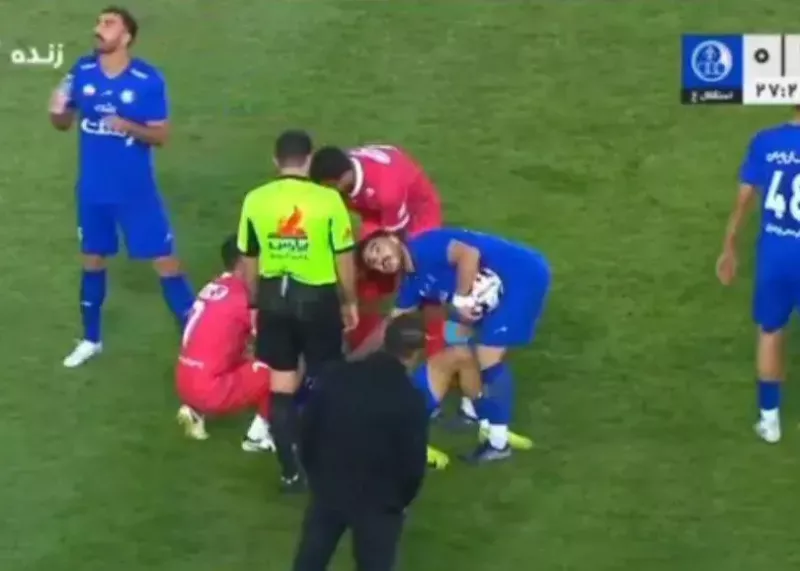 wzfr3xqz4.webp?w=800