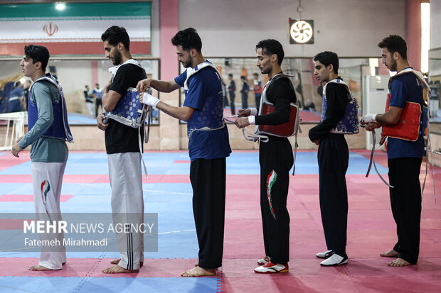اردوی مشترک تکواندوکاران ویتنام در تهران