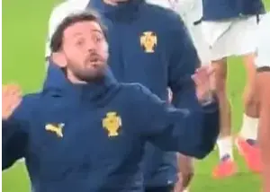 شب عجیب دوبلین: درگیری دو ستاره پرتغال با هواداران!