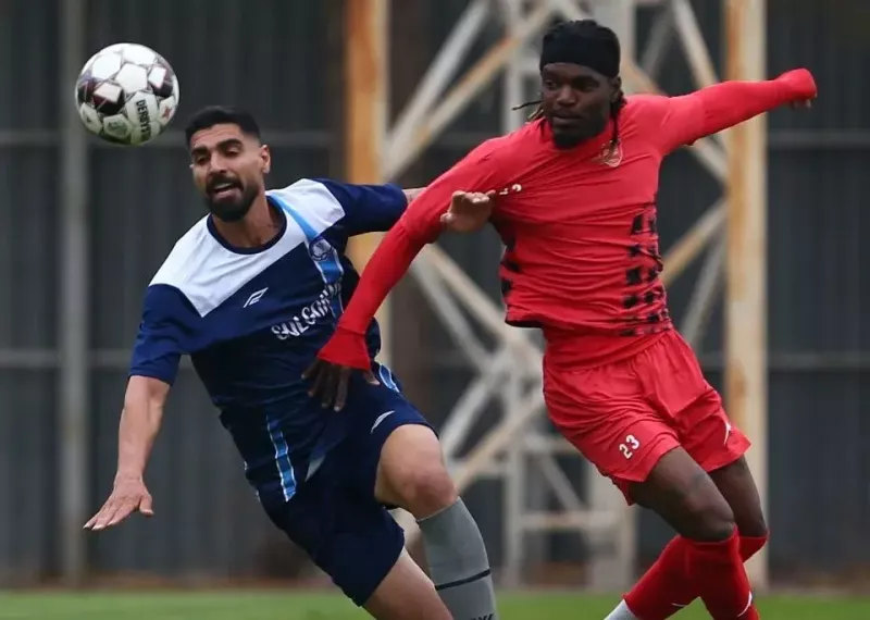 bd3mundd0.webp?w=800