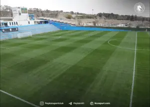 چمن مخملی زیر پای بازیکنان پیکان (عکس)