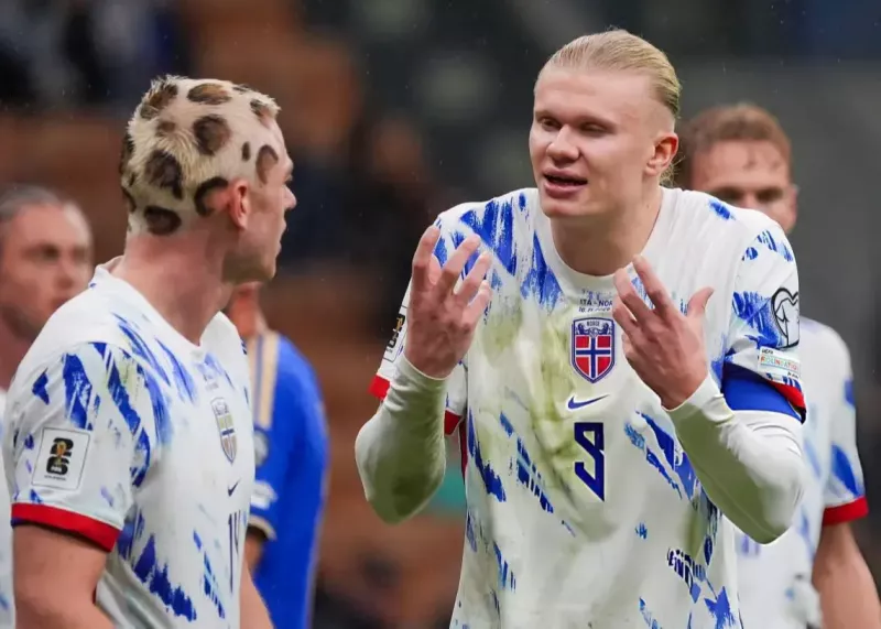 یک پلنگ با هالند هم تیمی شده است! (عکس)